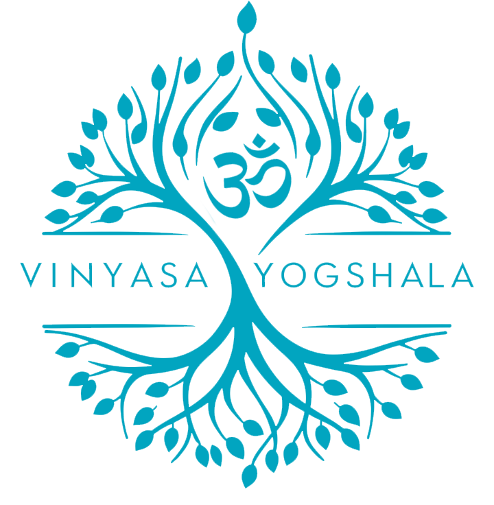 Vinyasa logo